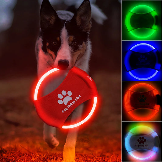 Glowing LED Luminous Flying Disc