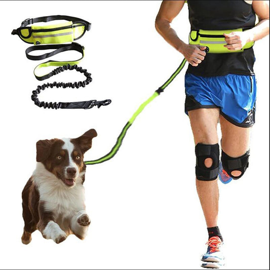 Hands Free Pet Walking And Training Belt With Shock Absorbing Bungee Leash For Up To 180lbs. Includes Phone Pocket And Water Bottle Holder