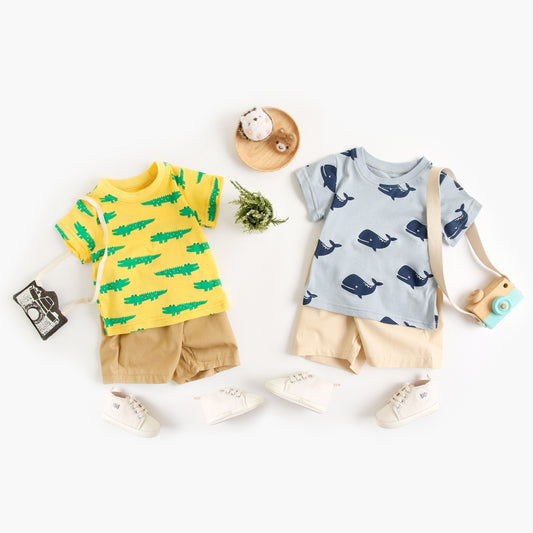 Baby Boy Summer Outfit