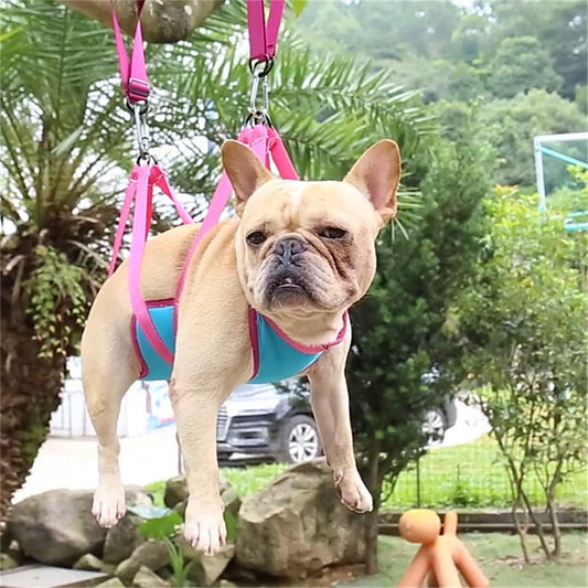 Pet Grooming Hammock For Cats & Dogs With Nail Clippers and Trimmer